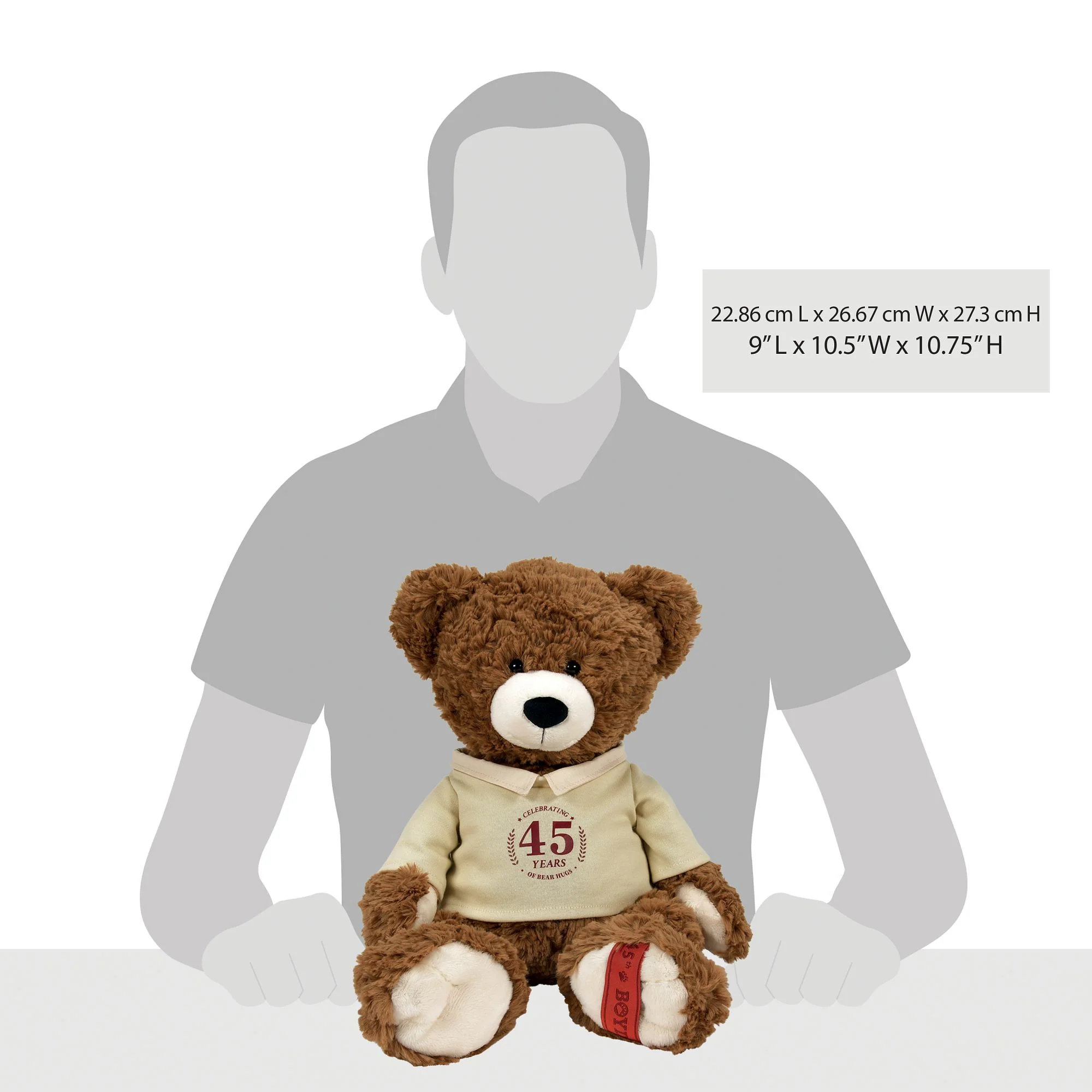 45th Anniversary Bear by Boyds Bears - Image 6