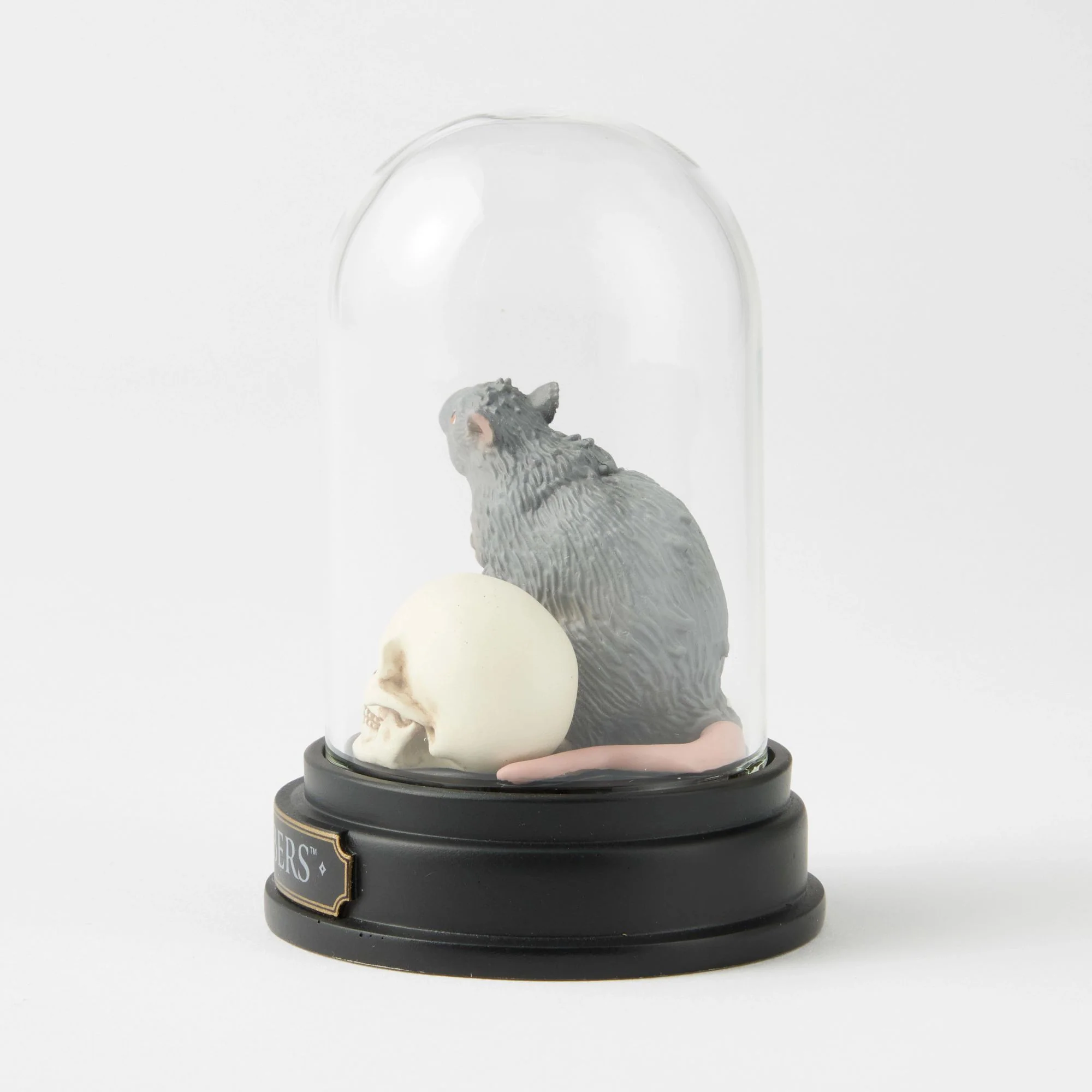 Scabbers Curiosity Cloche - Wizarding World of Harry Potter - Image 4