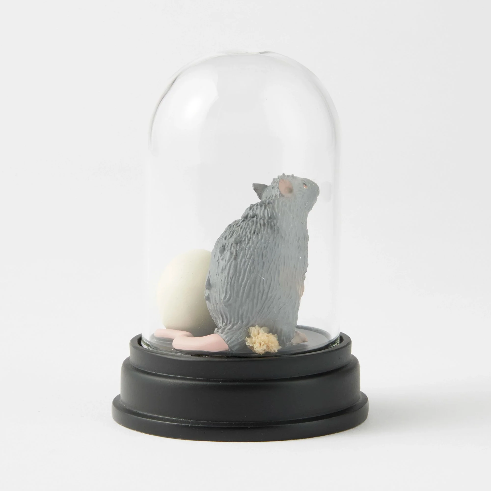 Scabbers Curiosity Cloche - Wizarding World of Harry Potter - Image 5