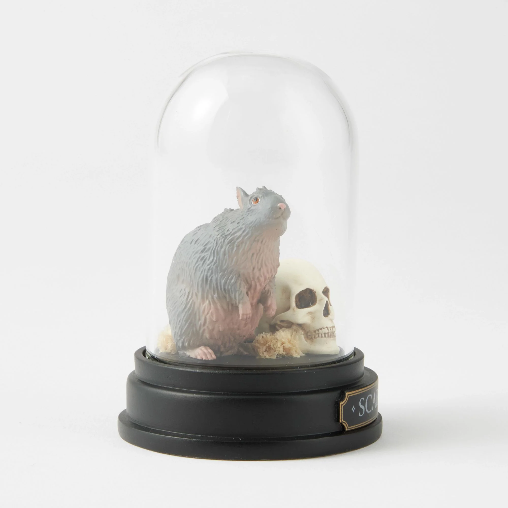 Scabbers Curiosity Cloche - Wizarding World of Harry Potter - Image 6
